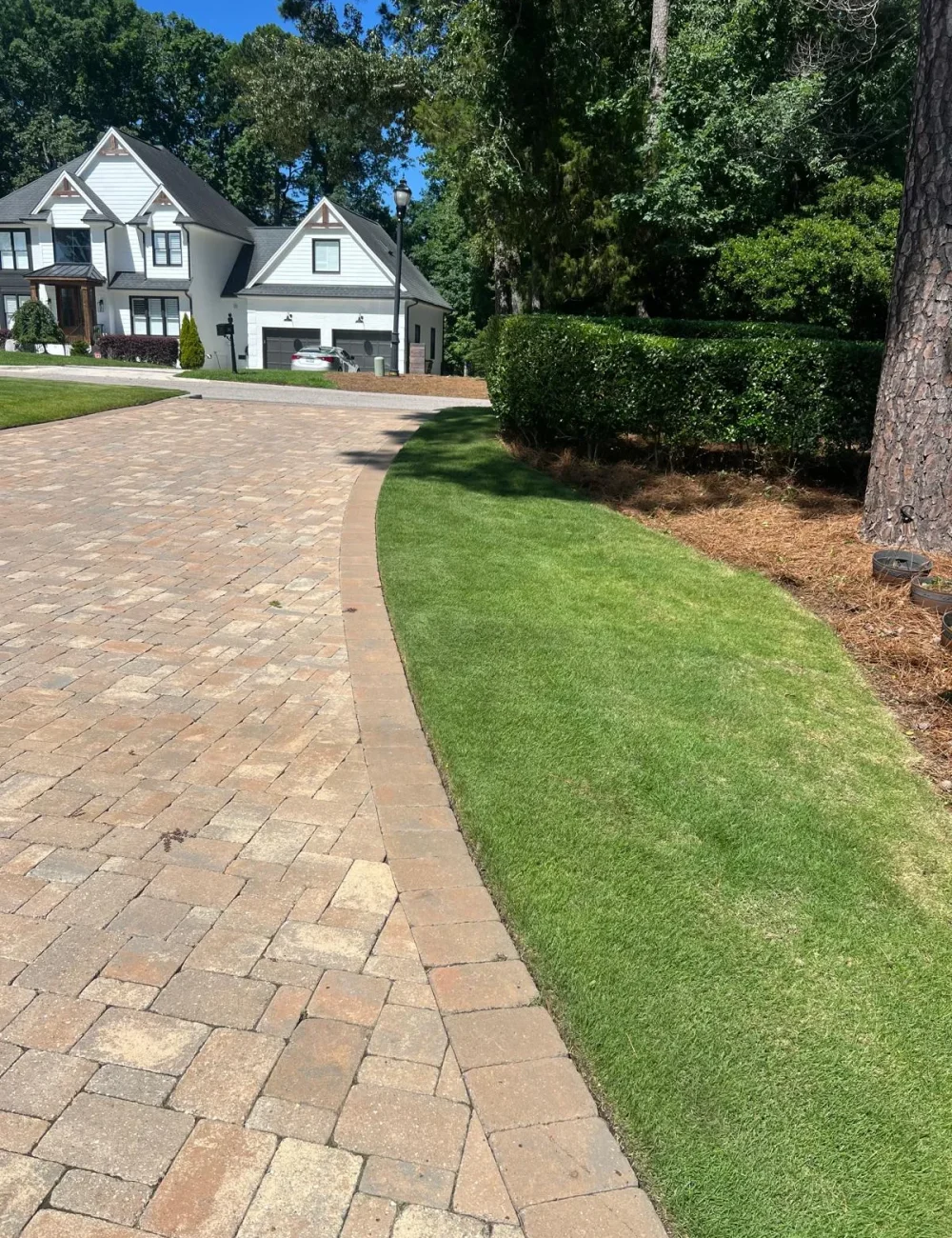 Driveway 6